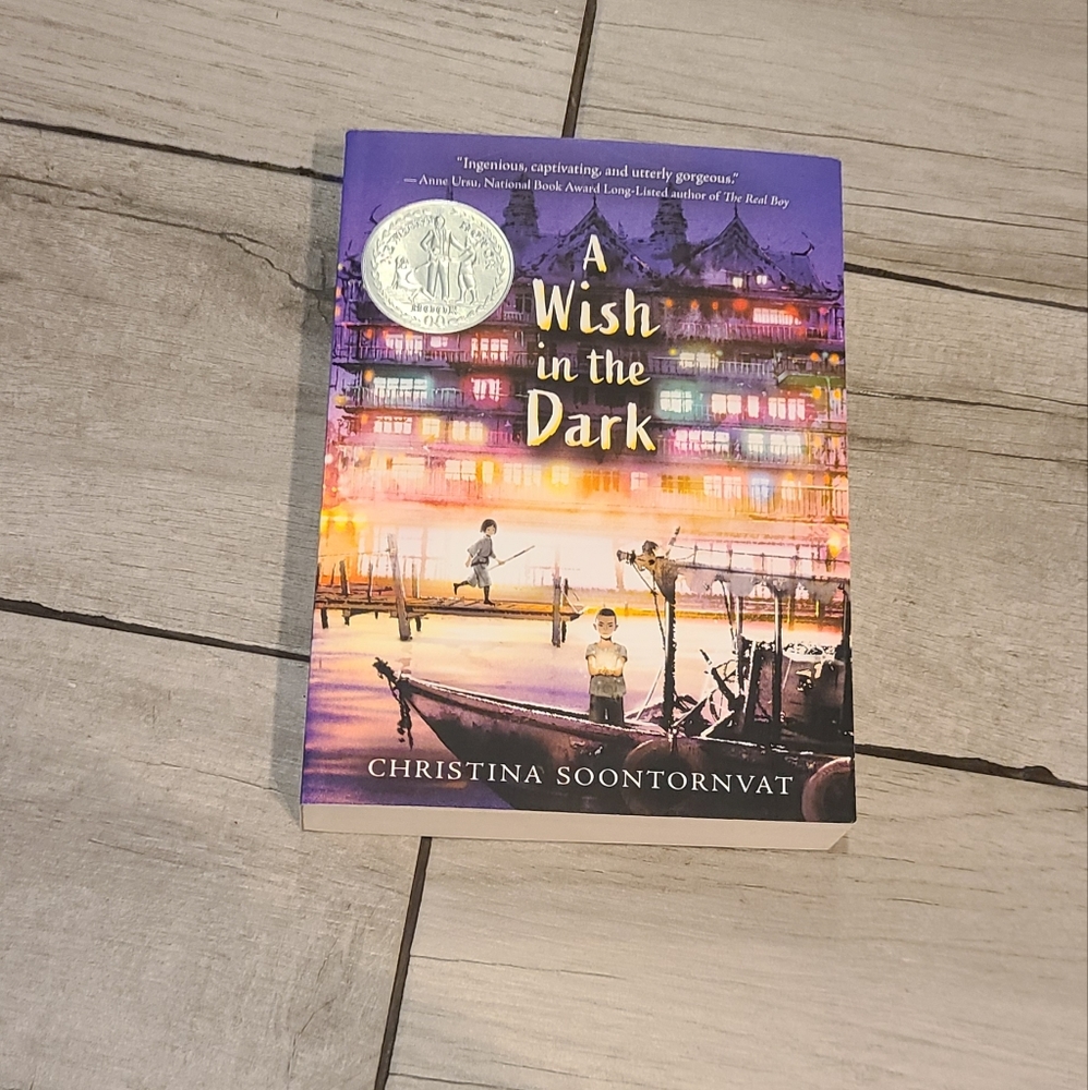 🦔A wish in the dark Young Adult book Novel 🧁